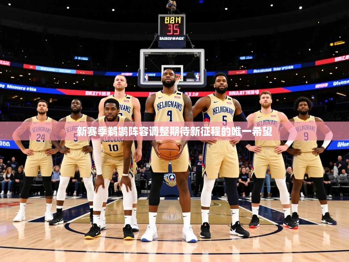 2025米兰体育网站优惠多新赛季鹈鹕阵容调整期待新征程的唯一希望  第2张