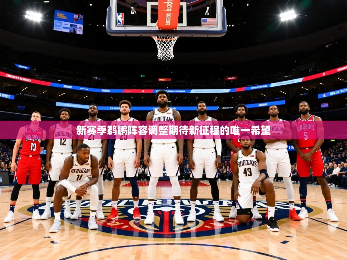 2025米兰体育网站优惠多新赛季鹈鹕阵容调整期待新征程的唯一希望  第3张