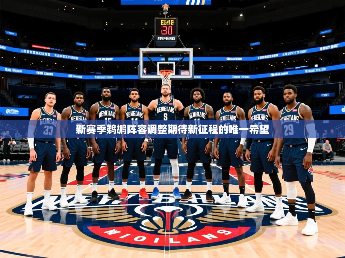 2025米兰体育网站优惠多新赛季鹈鹕阵容调整期待新征程的唯一希望  第4张