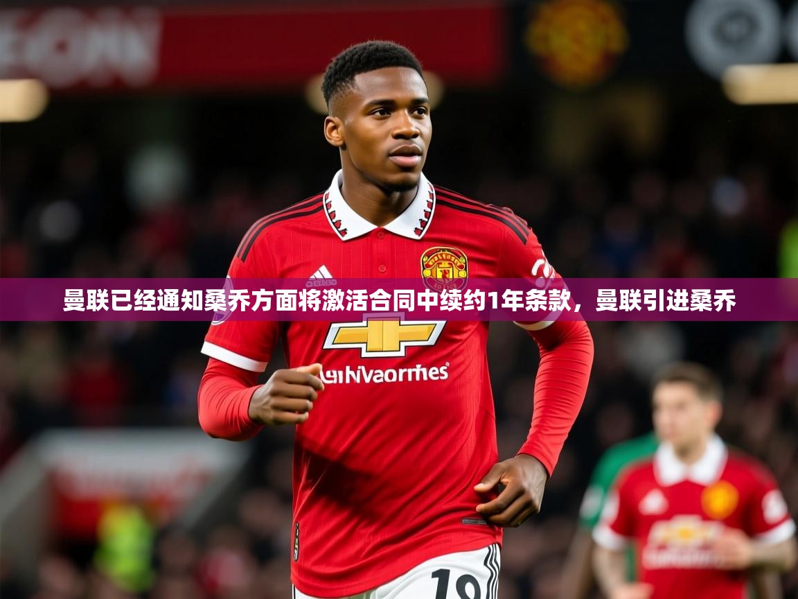 2025米兰体育app曼联已经通知桑乔方面将激活合同中续约1年条款,曼联引进桑乔 第2张