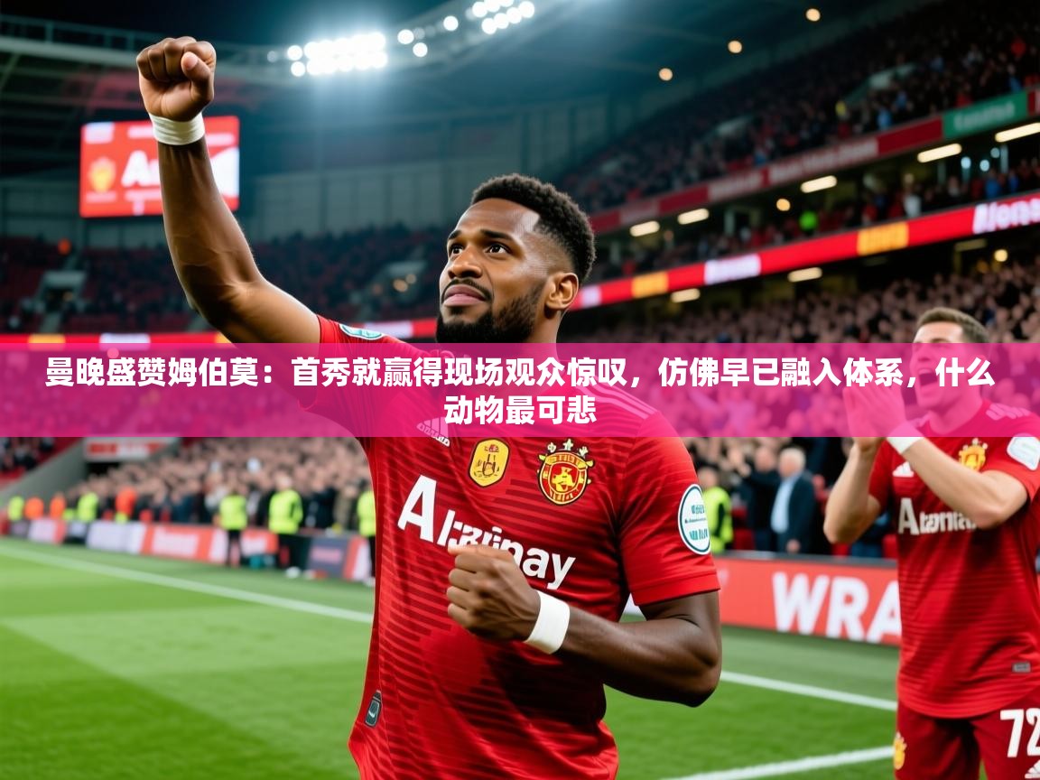 2025米兰体育下载曼晚盛赞姆伯莫：首秀就赢得现场观众惊叹，仿佛早已融入体系，什么动物最可悲
