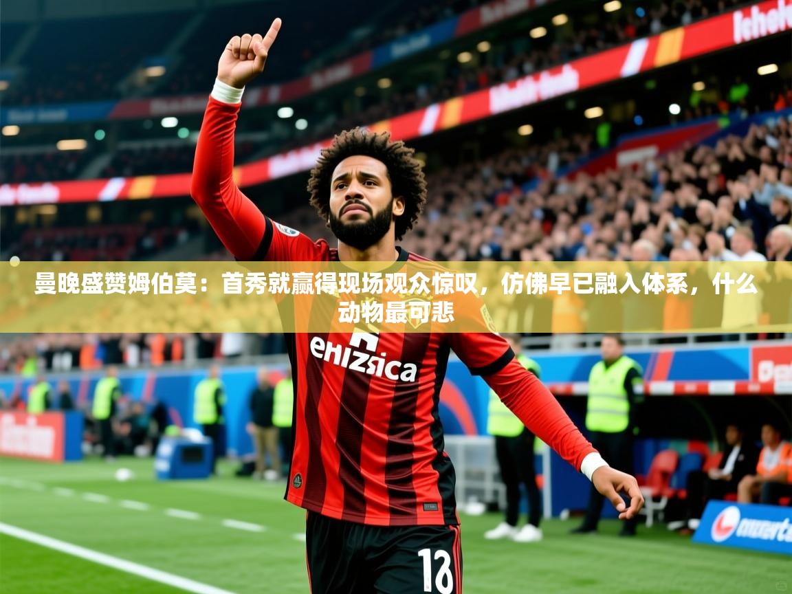 2025米兰体育下载曼晚盛赞姆伯莫：首秀就赢得现场观众惊叹，仿佛早已融入体系，什么动物最可悲  第4张