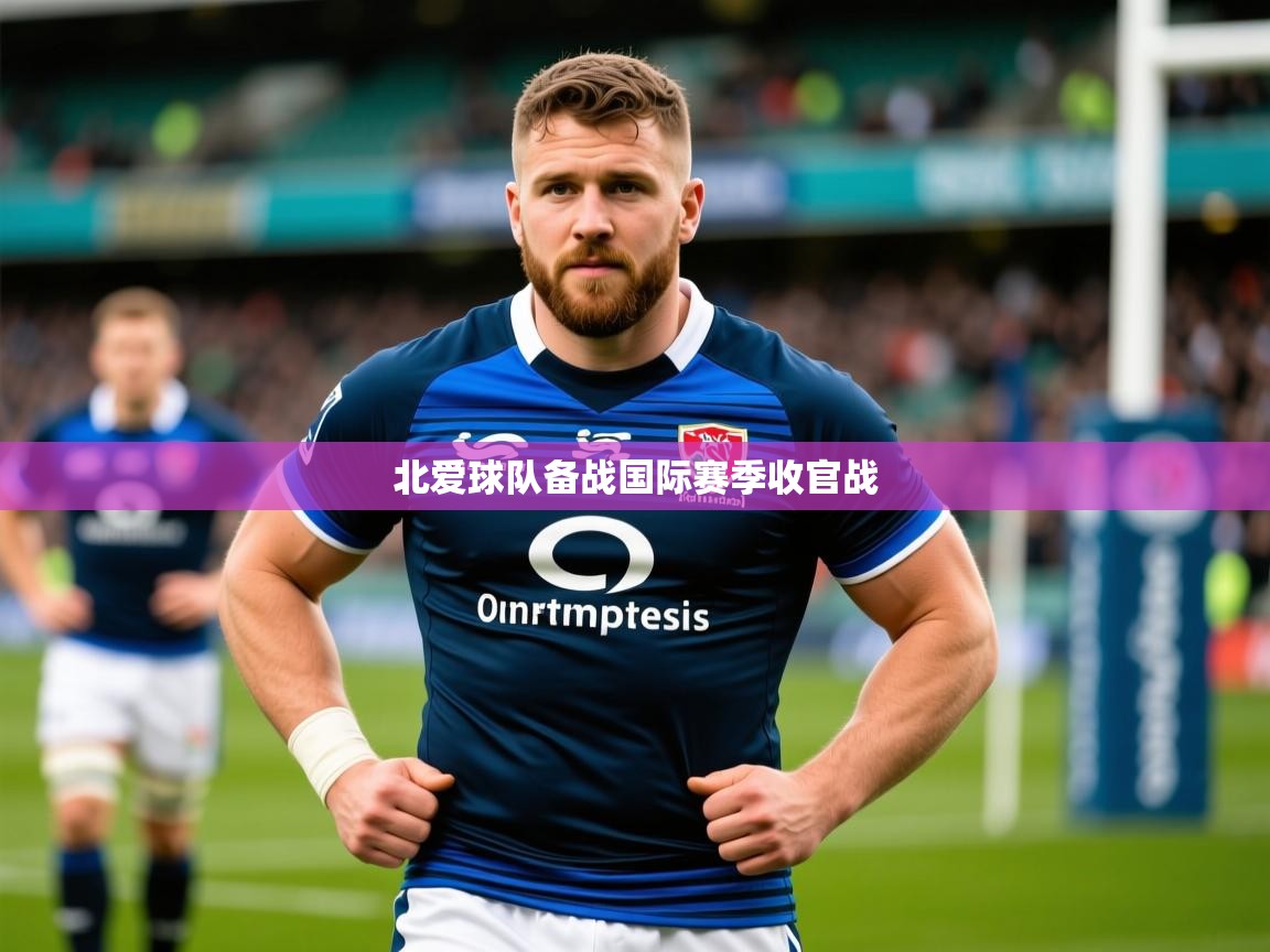 2025米兰体育网站优惠多北爱球队备战国际赛季收官战  第2张