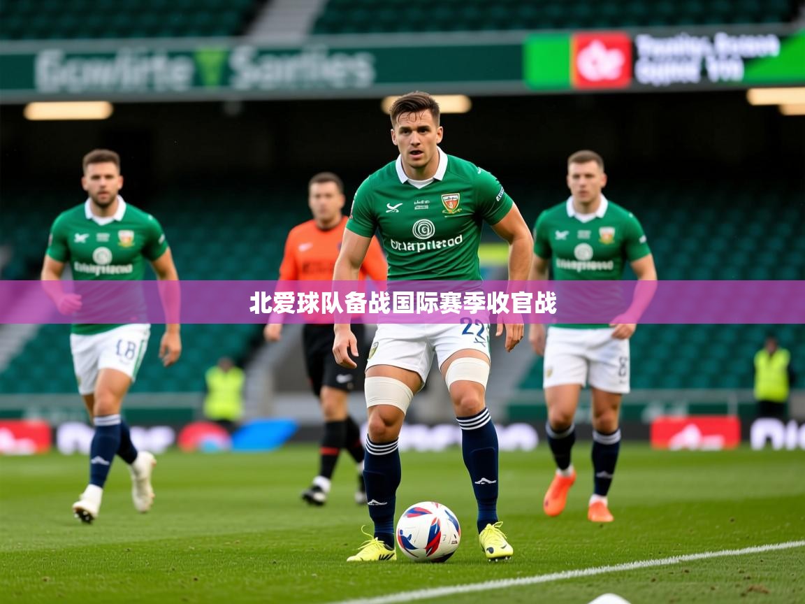 2025米兰体育网站优惠多北爱球队备战国际赛季收官战  第3张