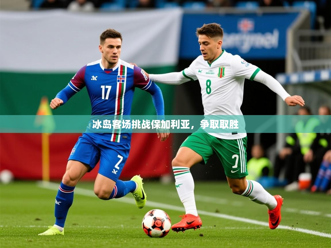 2026米兰体育网页版登录冰岛客场挑战保加利亚,争取取胜 第3张