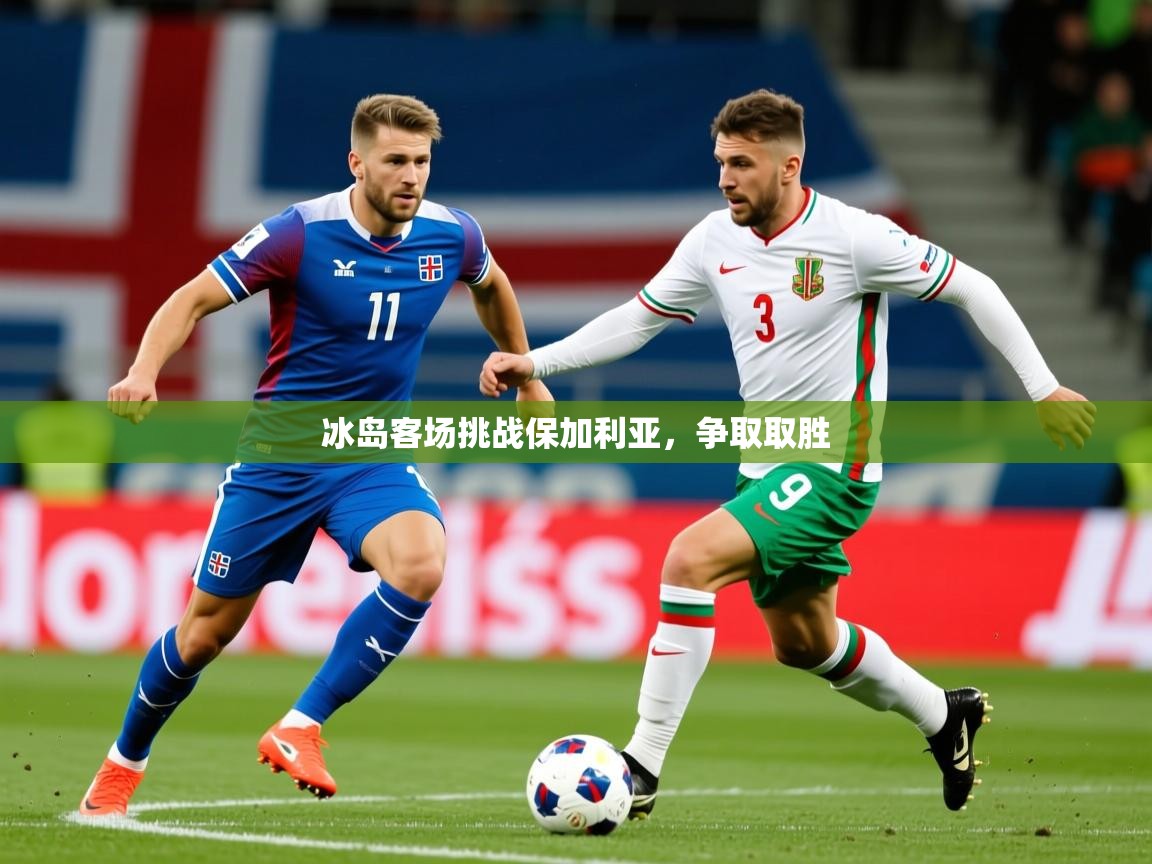 2026米兰体育网页版登录冰岛客场挑战保加利亚,争取取胜 第4张