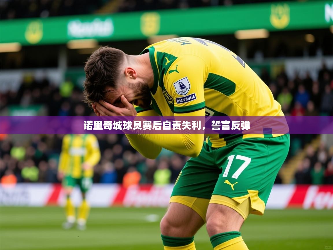 2026米兰体育平台登录入口诺里奇城球员赛后自责失利,誓言反弹 第2张